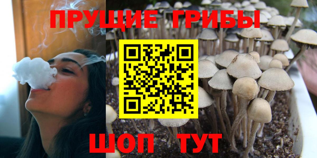 Псилоцибиновые грибы MAGIC MUSHROOMS Орехово-Зуево